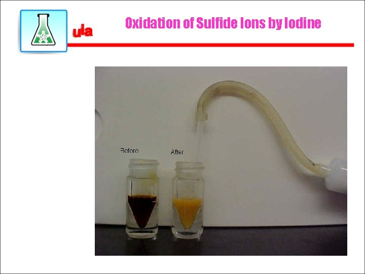 Oxidation of Sulfide Ions by Iodine 