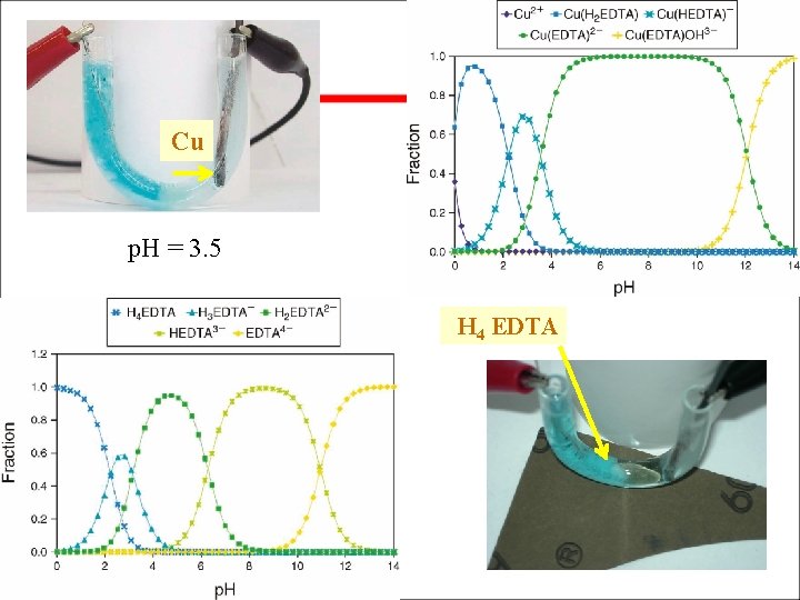 Cu p. H = 3. 5 H 4 EDTA 