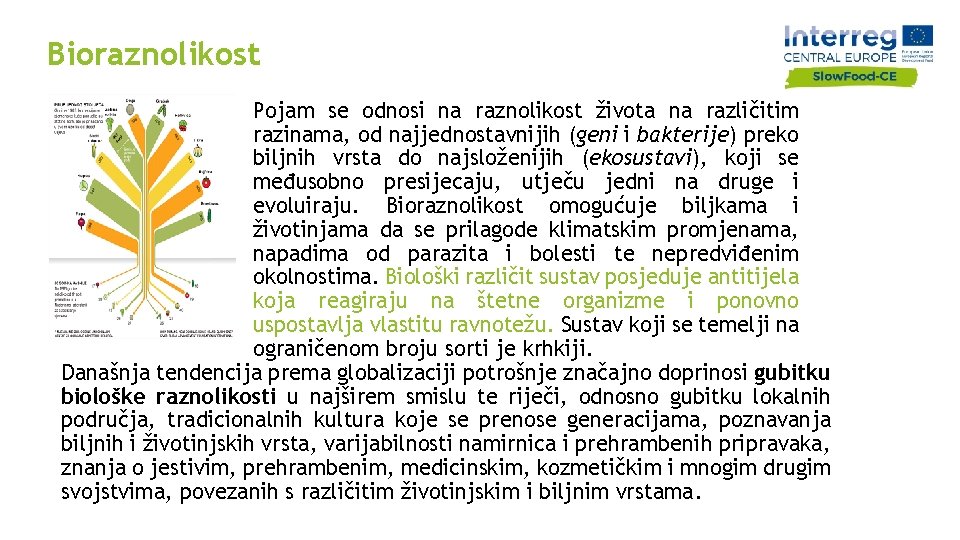 Bioraznolikost Pojam se odnosi na raznolikost života na različitim razinama, od najjednostavnijih (geni i