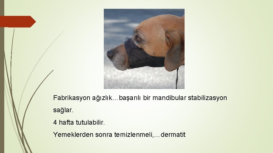 Fabrikasyon ağızlık…başarılı bir mandibular stabilizasyon sağlar. 4 hafta tutulabilir. Yemeklerden sonra temizlenmeli, …dermatit 