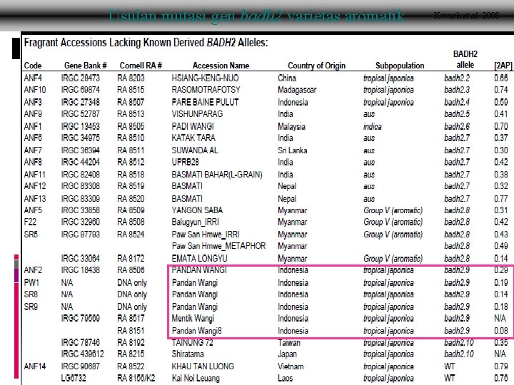 Usulan mutasi gen badh 2 varietas aromatik Kovach et al. 2008 