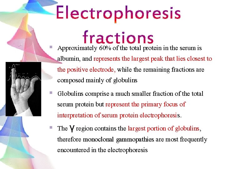 Approximately 60% of the total protein in the serum is albumin, and represents the