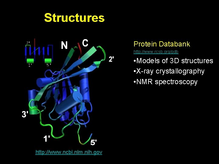Structures Protein Databank http: //www. rcsb. org/pdb / • Models of 3 D structures