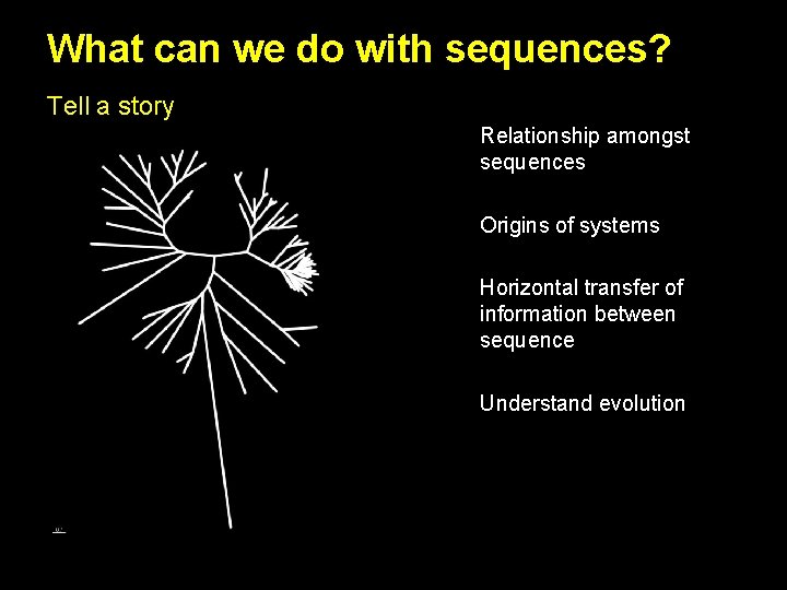 What can we do with sequences? Tell a story Relationship amongst sequences Origins of