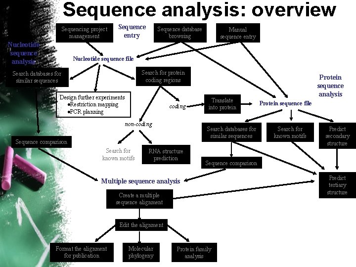 Sequence analysis: overview Sequencing project management Nucleotide sequence analysis Sequence entry Sequence database browsing