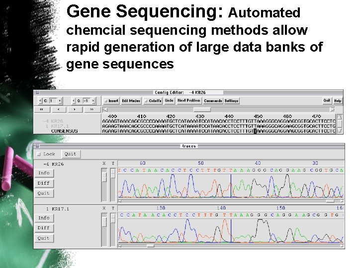Gene Sequencing: Automated chemcial sequencing methods allow rapid generation of large data banks of