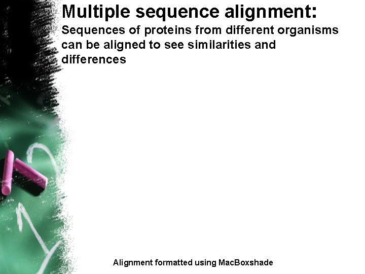 Multiple sequence alignment: Sequences of proteins from different organisms can be aligned to see