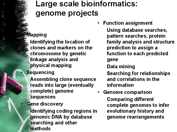 Large scale bioinformatics: genome projects • Function assignment Using database searches, • Mapping pattern