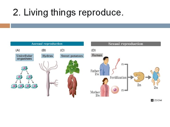 2. Living things reproduce. 