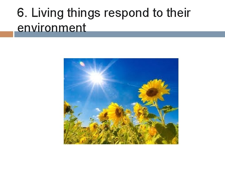 6. Living things respond to their environment 