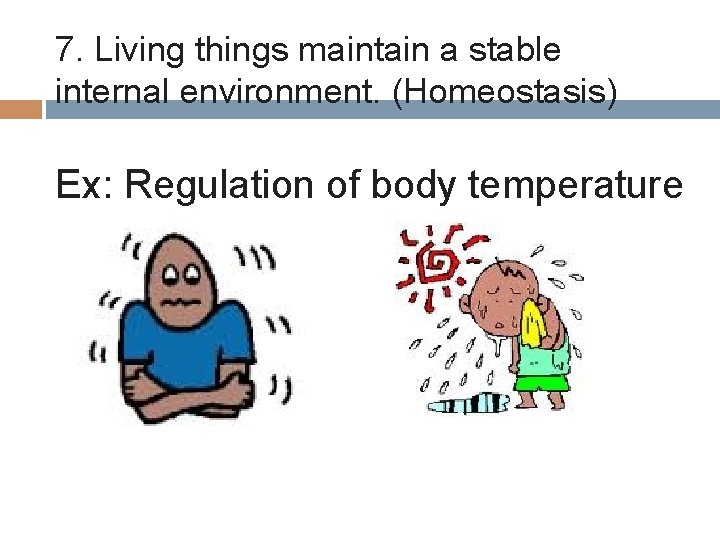 7. Living things maintain a stable internal environment. (Homeostasis) Ex: Regulation of body temperature