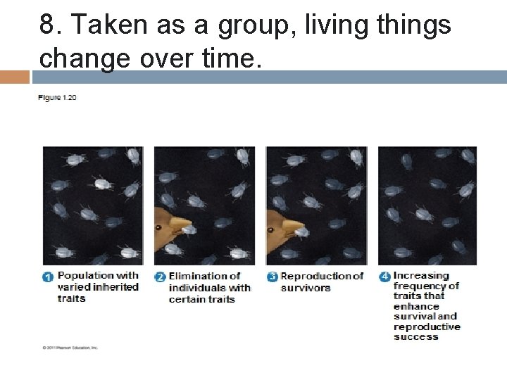 8. Taken as a group, living things change over time. 