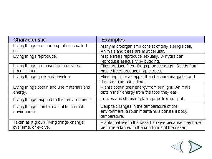 Characteristics of Living Things Section 1 -3 Characteristic Examples Living things are made up