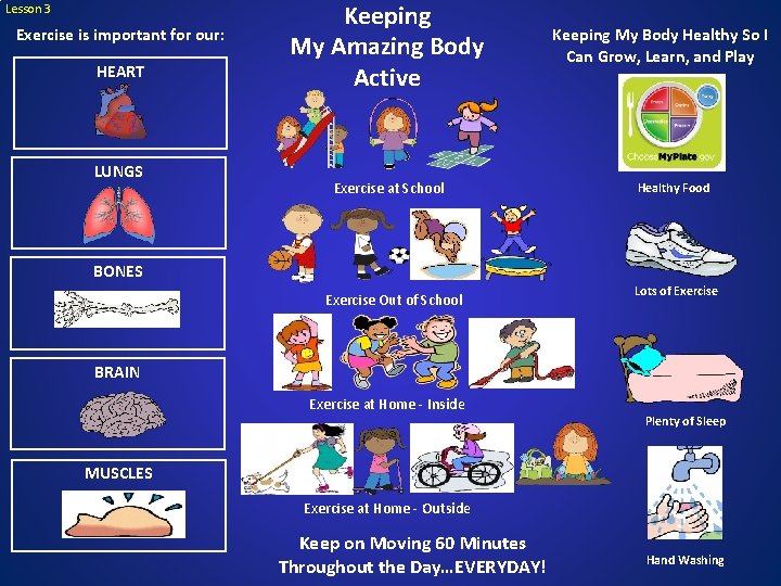 Lesson 3 Exercise is important for our: HEART LUNGS Keeping My Amazing Body Active