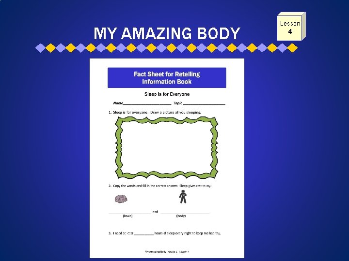 MY AMAZING BODY Lesson 4 