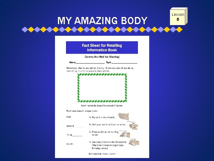 MY AMAZING BODY Lesson 5 