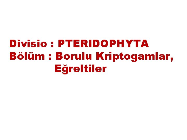 Divisio : PTERIDOPHYTA Bölüm : Borulu Kriptogamlar, Eğreltiler 