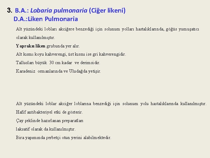 3. B. A. : Lobaria pulmonaria (Ciğer likeni) D. A. : Liken Pulmonaria Alt