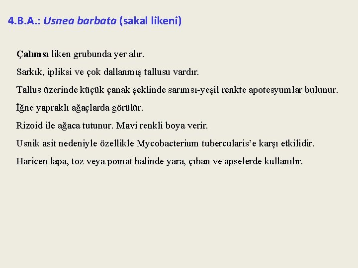 4. B. A. : Usnea barbata (sakal likeni) Çalımsı liken grubunda yer alır. Sarkık,