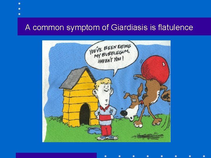 A common symptom of Giardiasis is flatulence 