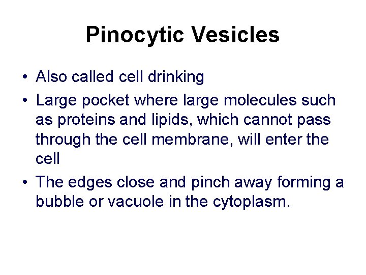Pinocytic Vesicles • Also called cell drinking • Large pocket where large molecules such