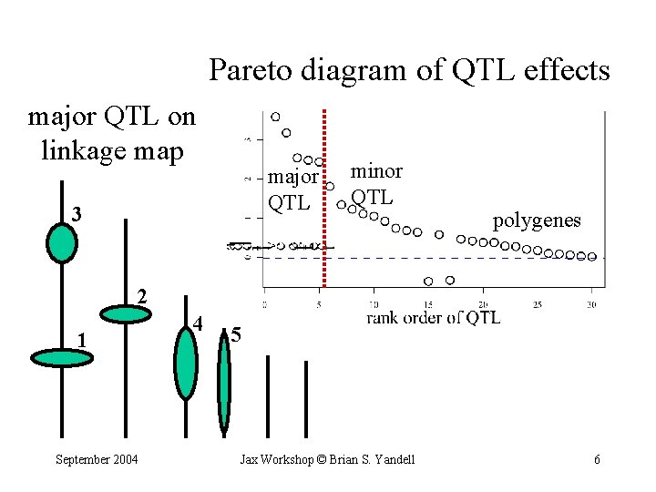 Pareto diagram of QTL effects major QTL on linkage map major QTL 3 minor