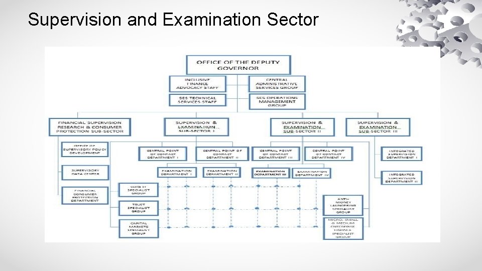 Supervision and Examination Sector 