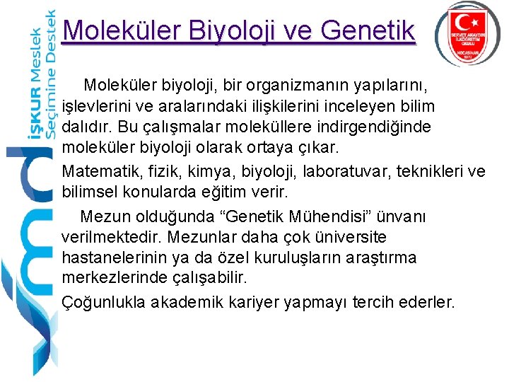 Moleküler Biyoloji ve Genetik Moleküler biyoloji, bir organizmanın yapılarını, işlevlerini ve aralarındaki ilişkilerini inceleyen