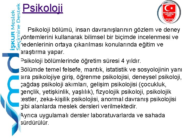 Psikoloji bölümü, insan davranışlarının gözlem ve deney yöntemlerini kullanarak bilimsel bir biçimde incelenmesi ve