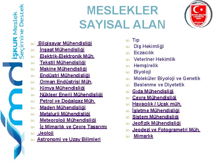 MESLEKLER SAYISAL ALAN Bilgisayar Mühendisliği İnşaat Mühendisliği Elektrik-Elektronik Müh. Tekstil Mühendisliği Makine Mühendisliği Endüstri