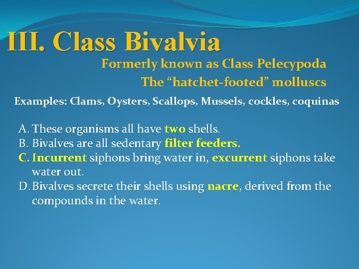 III. Class Bivalvia Formerly known as Class Pelecypoda The “hatchet-footed” molluscs Examples: Clams, Oysters,