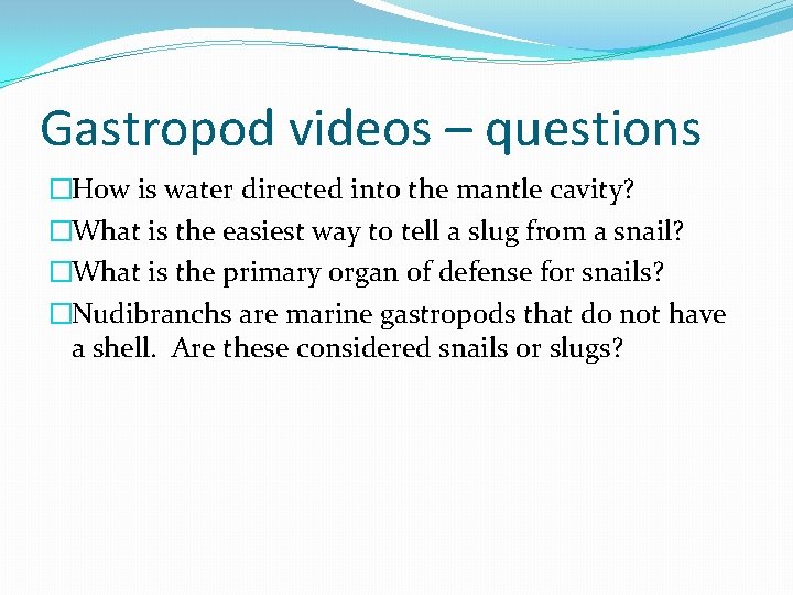 Gastropod videos – questions �How is water directed into the mantle cavity? �What is