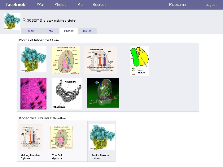 facebook Wall Photos Me Sources Ribosome is busy making proteins Wall Info Photos Boxes