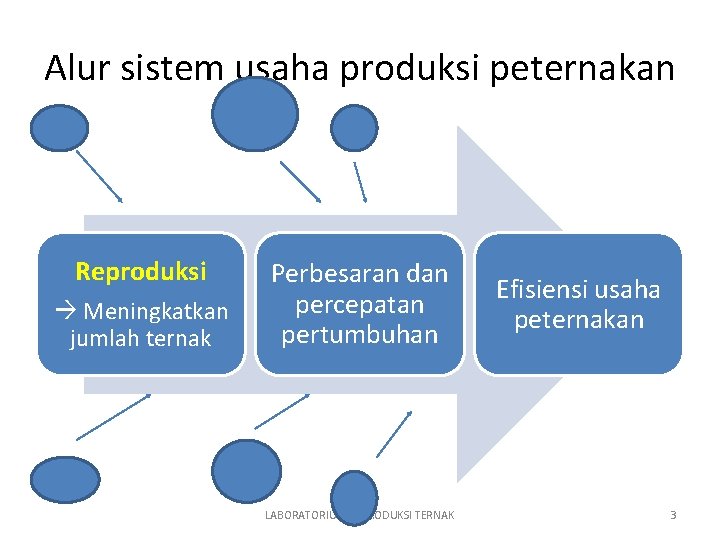 Alur sistem usaha produksi peternakan Reproduksi Meningkatkan jumlah ternak Perbesaran dan percepatan pertumbuhan LABORATORIUM