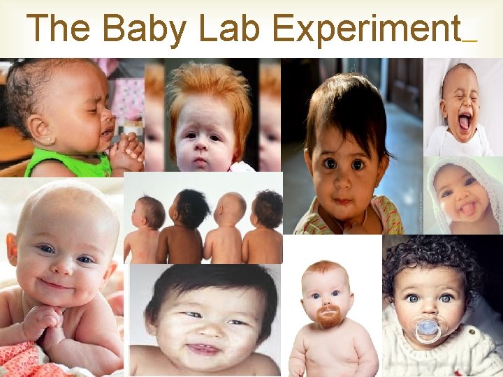 The Baby Lab Experiment https: //www. youtube. com/watch? v=FRv. VFW 85 Ic. U 