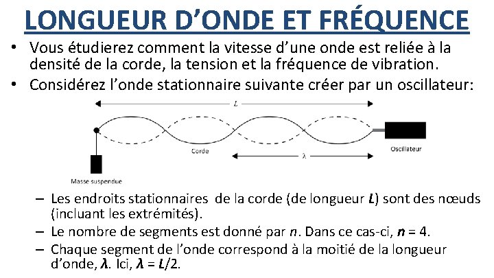 LONGUEUR D’ONDE ET FRÉQUENCE • Vous étudierez comment la vitesse d’une onde est reliée