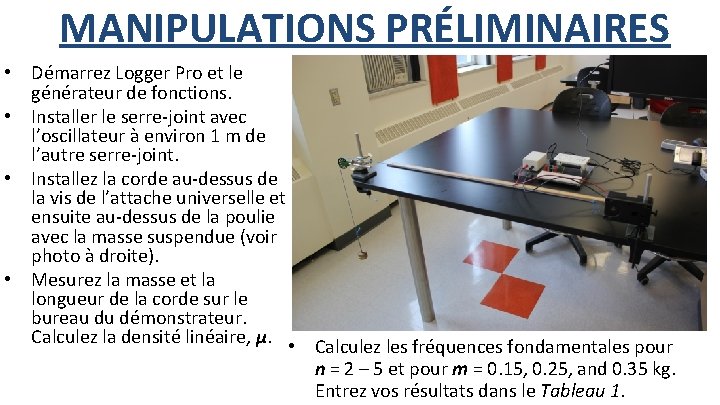 MANIPULATIONS PRÉLIMINAIRES • Démarrez Logger Pro et le générateur de fonctions. • Installer le