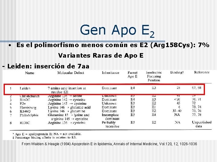 Gen Apo E 2 • Es el polimorfismo menos común es E 2 (Arg