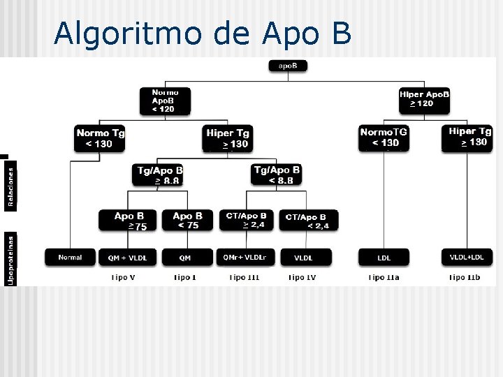 Algoritmo de Apo B 