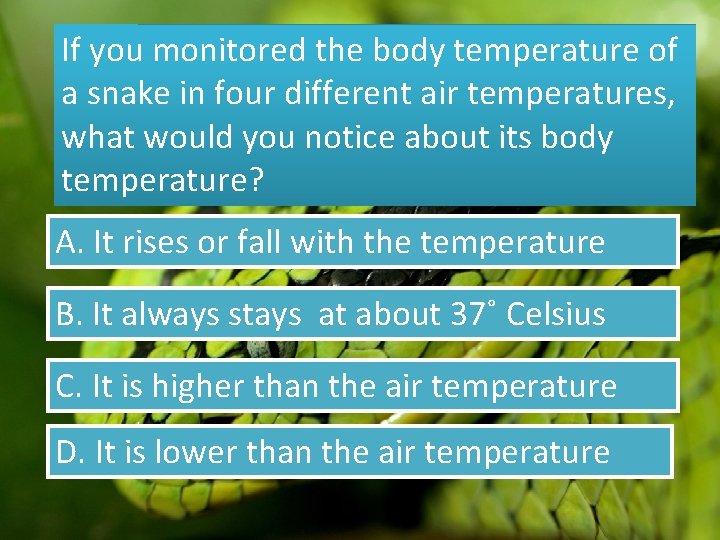 If you monitored the body temperature of a snake in four different air temperatures,