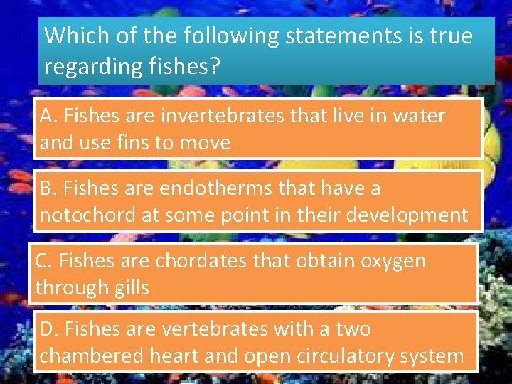 Which of the following statements is true regarding fishes? A. Fishes are invertebrates that