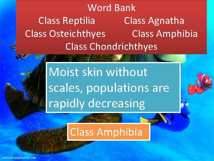 Word Bank Class Reptilia Class Agnatha Class Osteichthyes Class Amphibia Class Chondrichthyes Moist skin