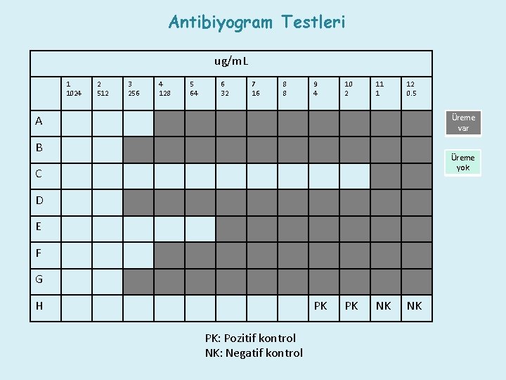 Antibiyogram Testleri ug/m. L 1 1024 2 512 3 256 4 128 5 64