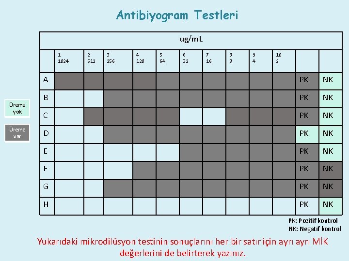Antibiyogram Testleri ug/m. L 1 1024 Üreme yok Üreme var 2 512 3 256