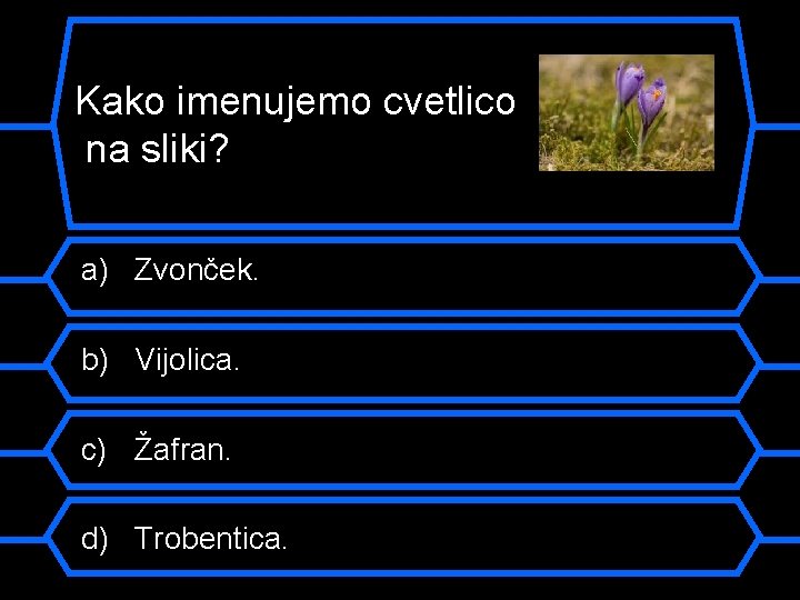 Kako imenujemo cvetlico na sliki? a) Zvonček. b) Vijolica. c) Žafran. d) Trobentica. 