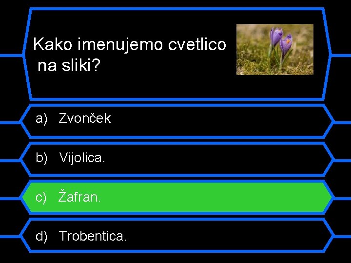 Kako imenujemo cvetlico na sliki? a) Zvonček b) Vijolica. c) Žafran. d) Trobentica. 