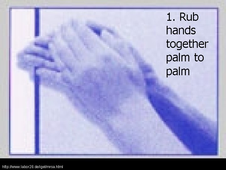 1. Rub hands together palm to palm http: //www. labor 28. de/igel/mrsa. html 