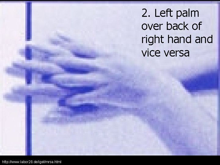 2. Left palm over back of right hand vice versa http: //www. labor 28.