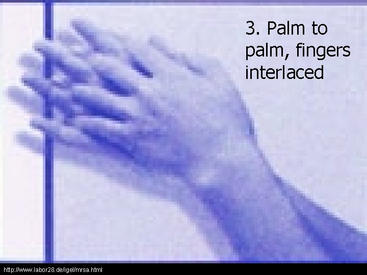 3. Palm to palm, fingers interlaced http: //www. labor 28. de/igel/mrsa. html 