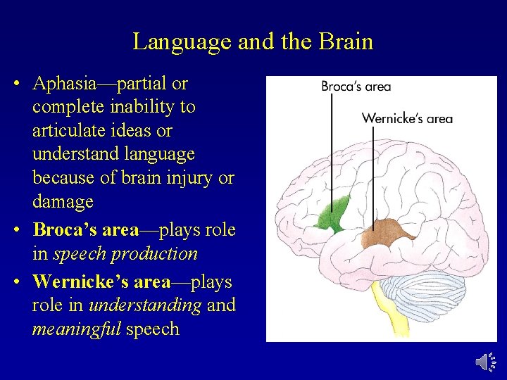 Language and the Brain • Aphasia—partial or complete inability to articulate ideas or understand